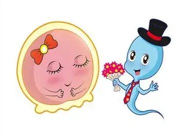 上海供卵公司哪家好？