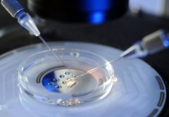 上海助孕公司试管成功率高吗？好柿花生高不高